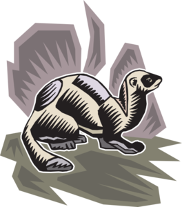 Stylized Mink Clip Art